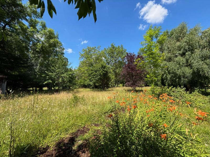 Maison à NOGENT-LE-ROI