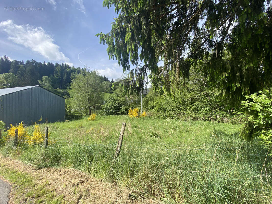 Maison à SAINT-JULIEN-PUY-LAVEZE