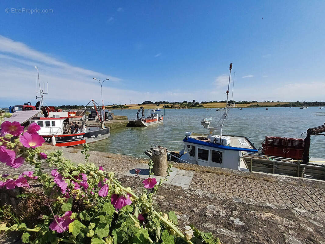 Maison à PENESTIN