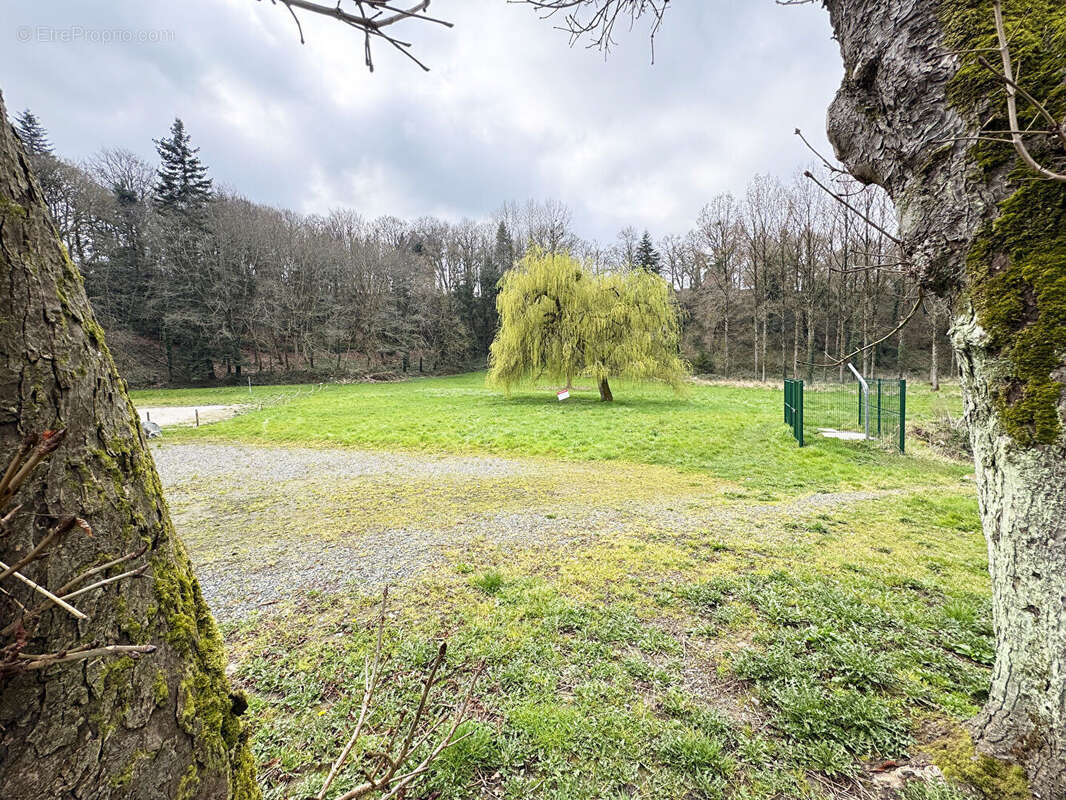 Maison à PLAINE-HAUTE