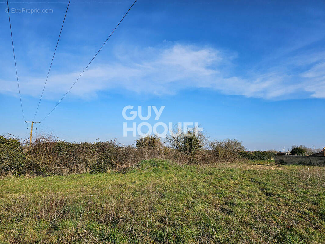 Terrain à MOUZEUIL-SAINT-MARTIN