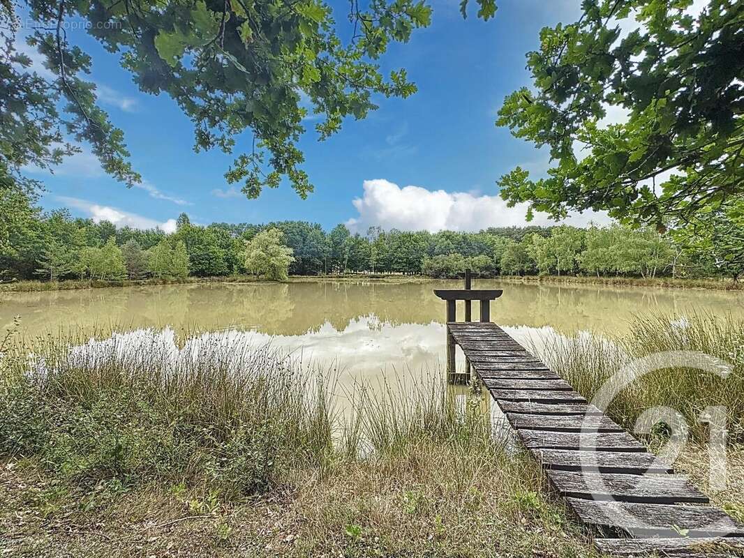 Maison à LA FERTE-SAINT-AUBIN