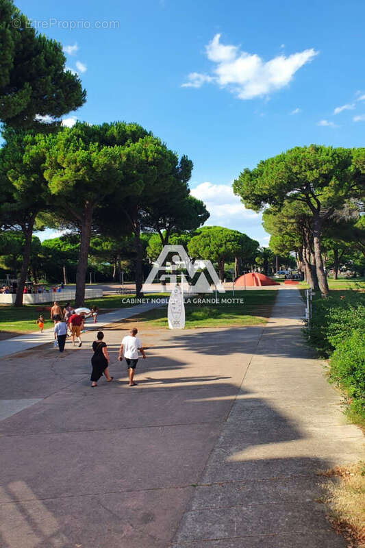 Appartement à LA GRANDE-MOTTE