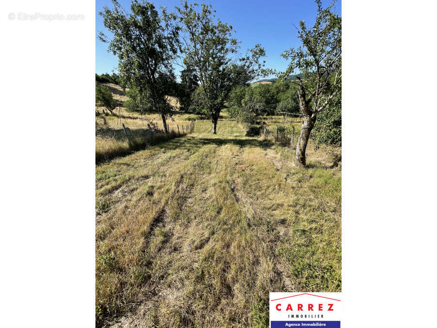 Terrain à SAVIGNY-SOUS-MALAIN