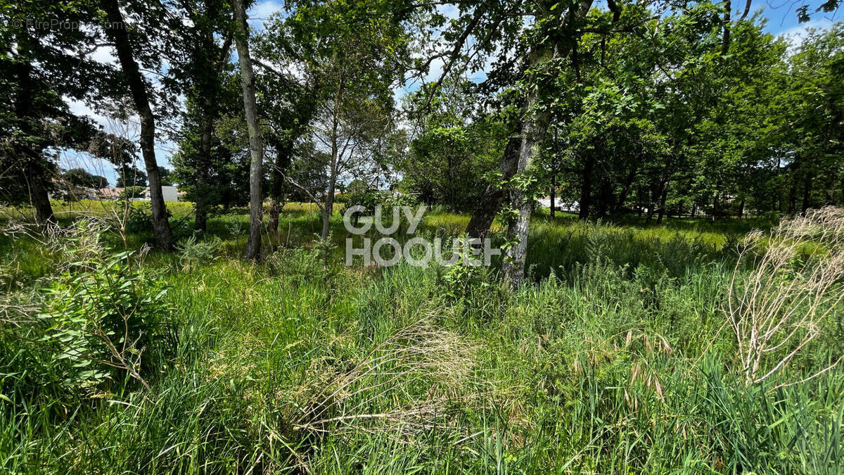 Terrain à AUREILHAN