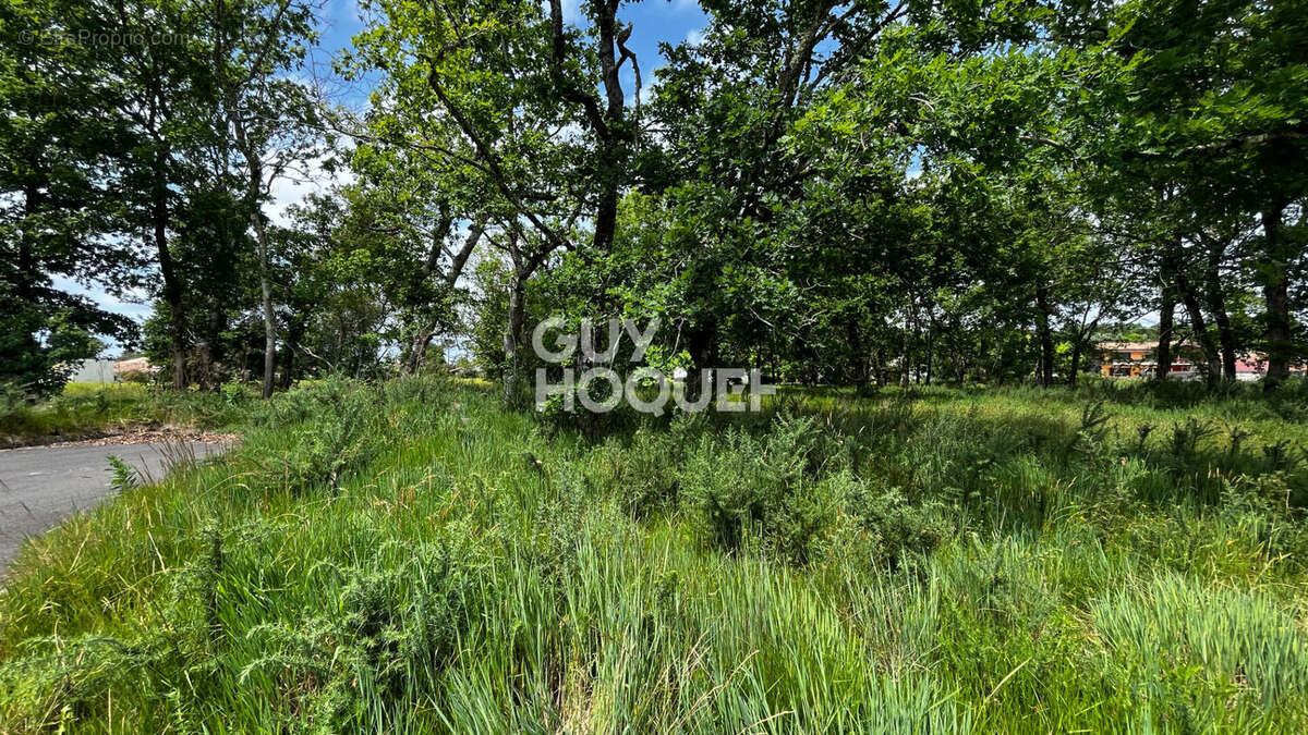 Terrain à AUREILHAN