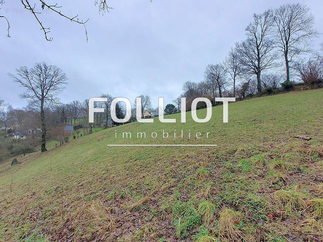 Terrain à VIRE