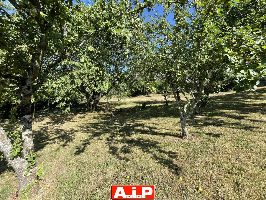 Terrain à POUZAUGES