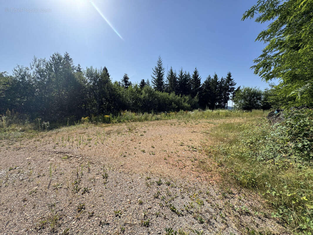 Photo 3 - Commerce à LE CERGNE