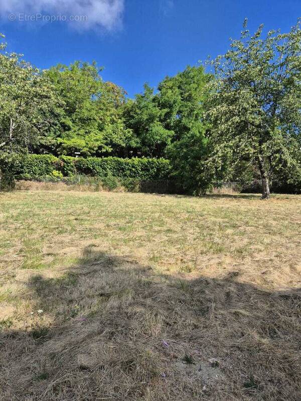 Terrain à CHAMPNIERS