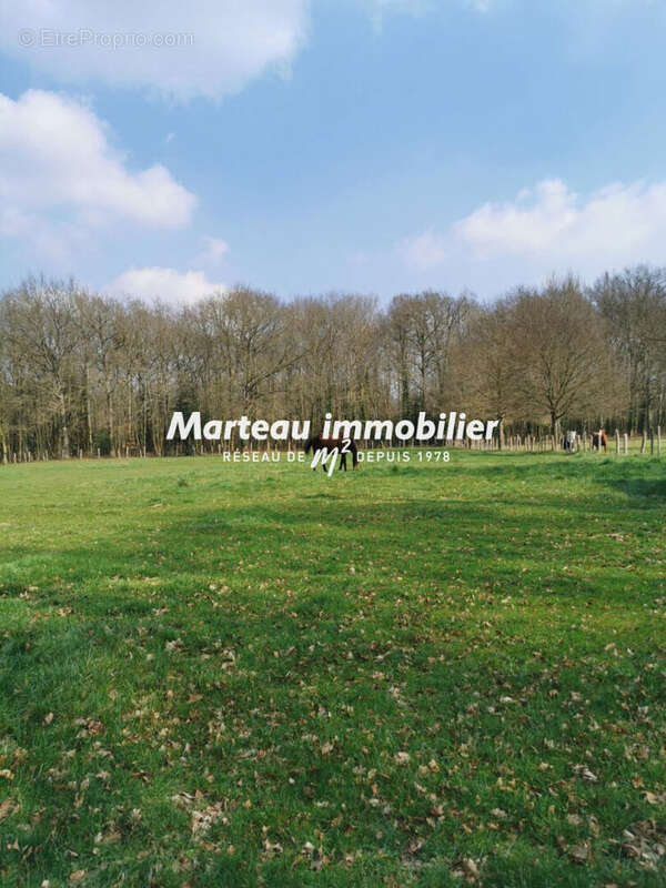 Maison à MONCE-EN-BELIN