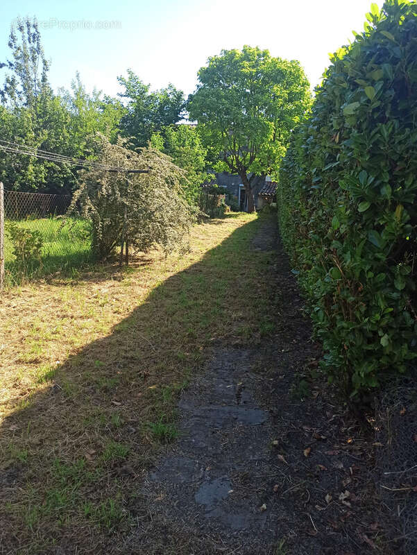 Maison à LES CAMMAZES