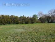 Terrain à CHAMPIGNY-LE-SEC
