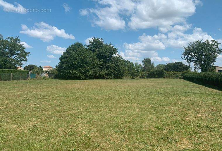 Terrain à CHIRE-EN-MONTREUIL