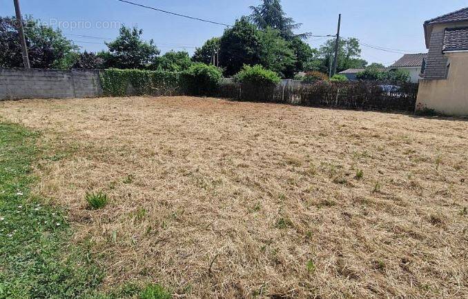 Terrain à VOUNEUIL-SOUS-BIARD