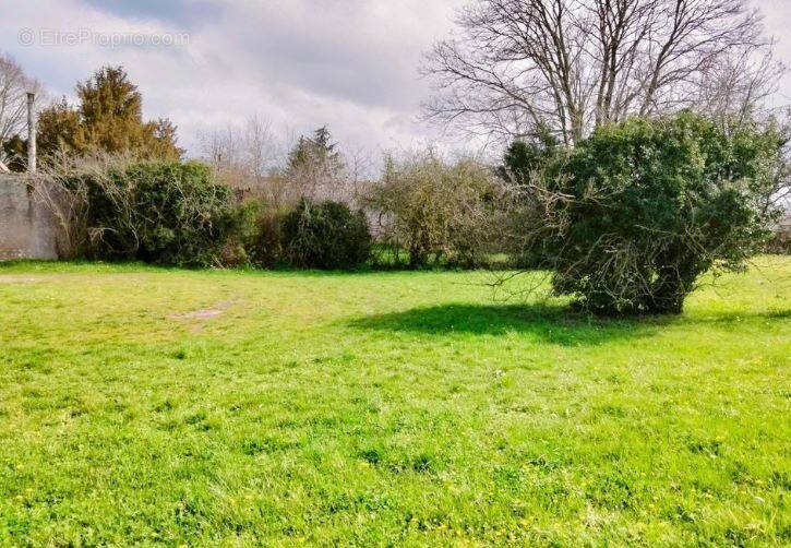 Terrain à NEUVILLE-DE-POITOU