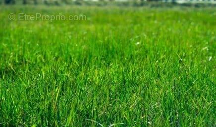 Terrain à MARIGNY-BRIZAY