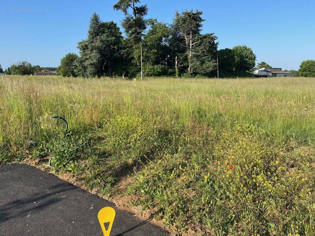 Terrain à VENDEUVRE-DU-POITOU