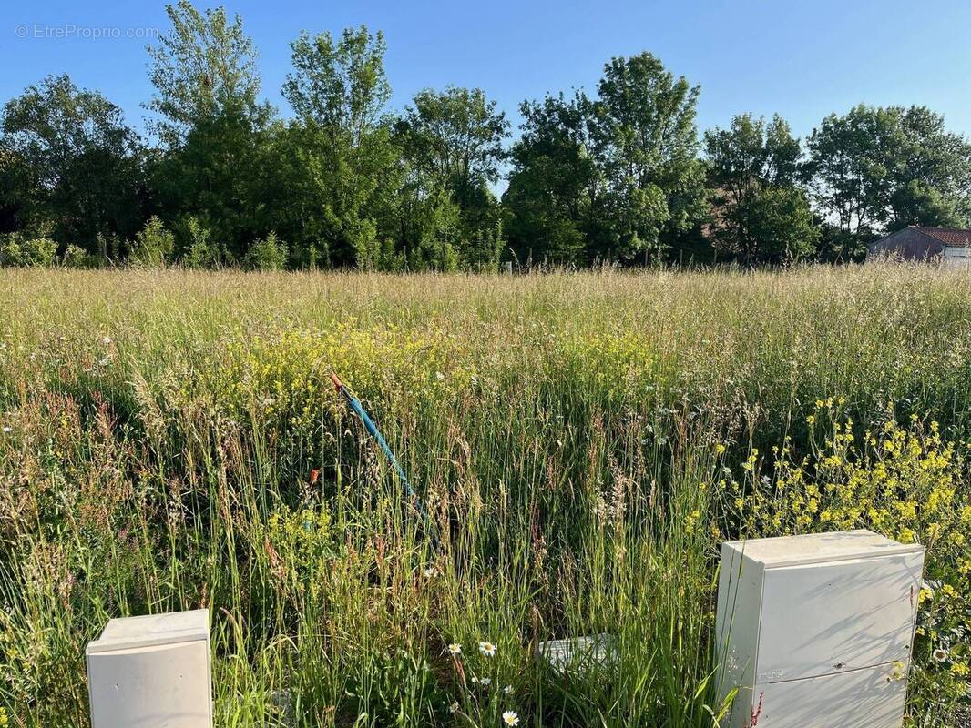 Terrain à VENDEUVRE-DU-POITOU