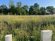 Terrain à VENDEUVRE-DU-POITOU