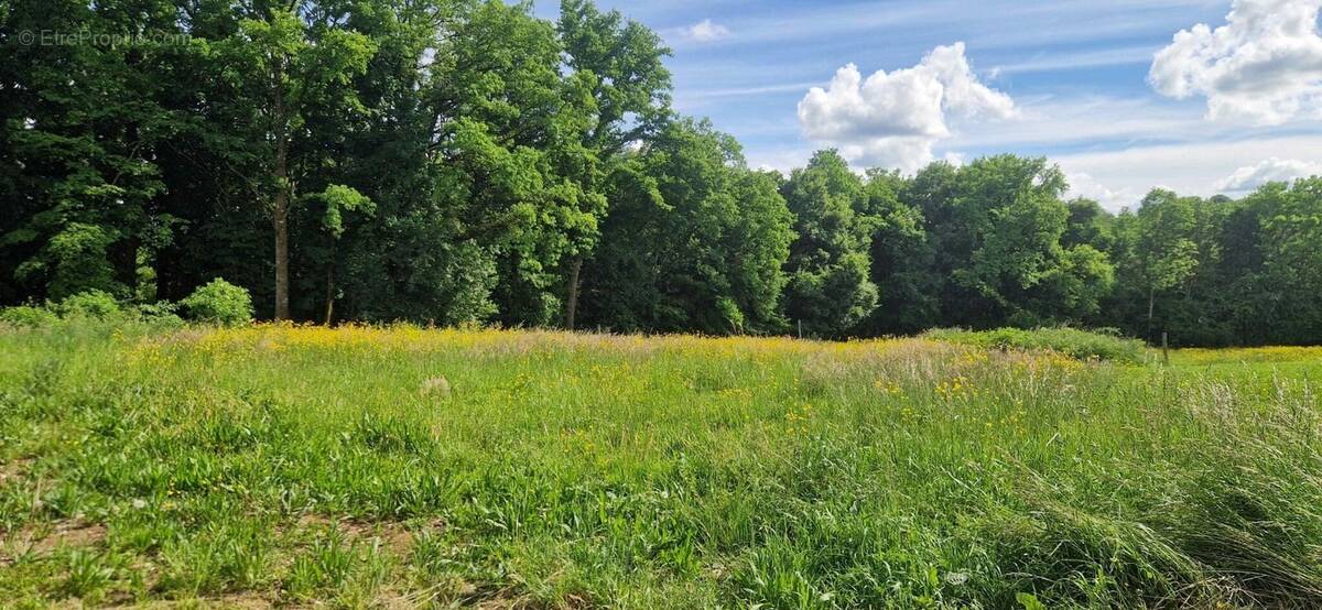 Terrain à AVAILLES-LIMOUZINE