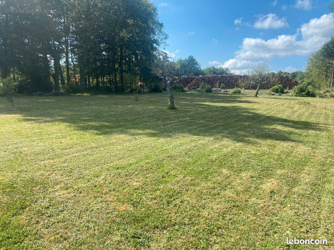 Terrain à L&#039;ISLE-JOURDAIN
