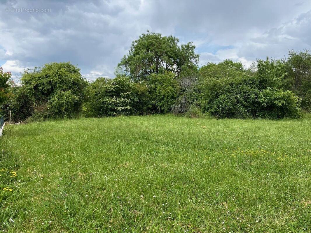 Terrain à LATHUS-SAINT-REMY