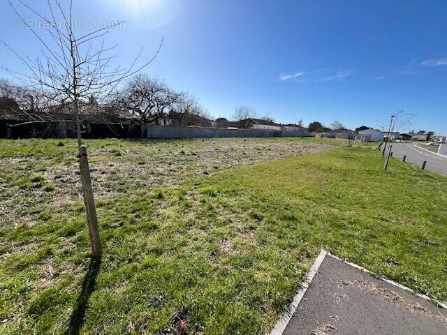 Terrain à CELLE-LEVESCAULT