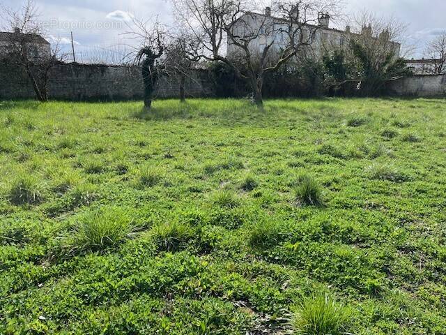 Terrain à SAINT-JULIEN-L&#039;ARS