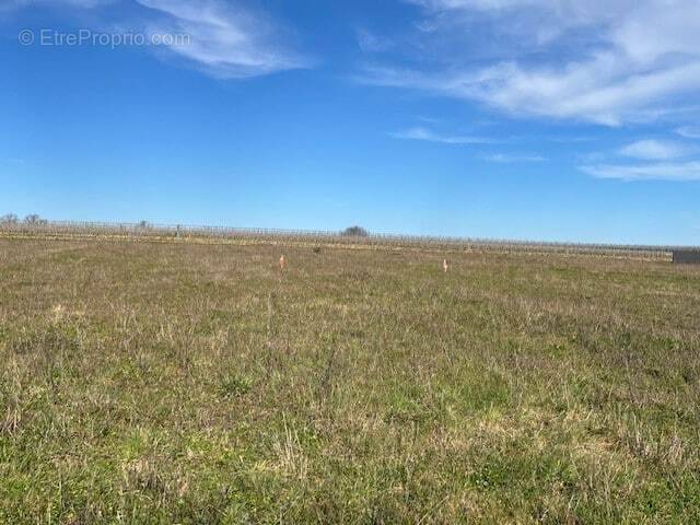 Terrain à NEUVILLE-DE-POITOU