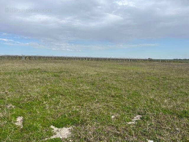 Terrain à SAINT-JULIEN-L&#039;ARS