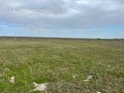 Terrain à SAINT-JULIEN-L&#039;ARS