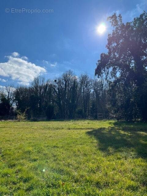 Terrain à VOUILLE
