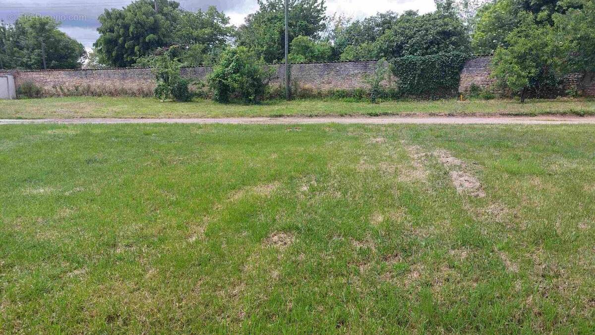 Terrain à JAUNAY-CLAN