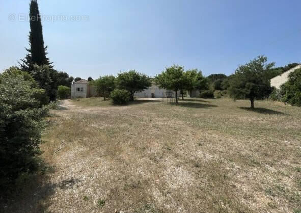 Terrain à SANARY-SUR-MER