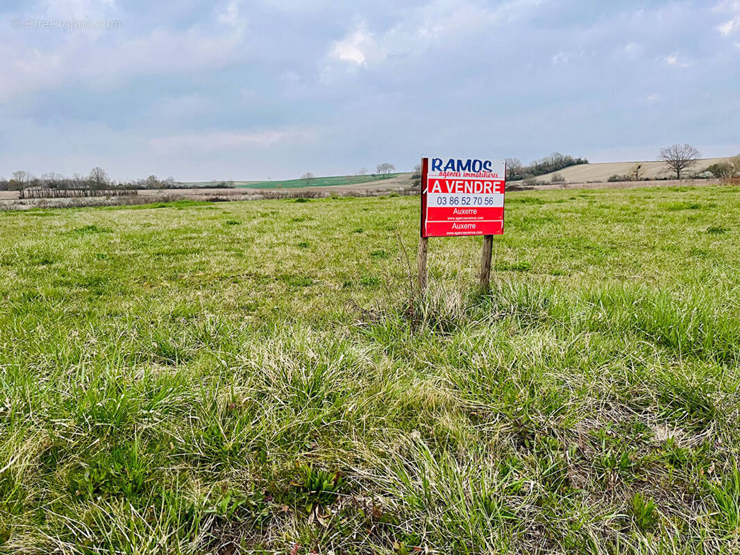 Terrain à GUERCHY
