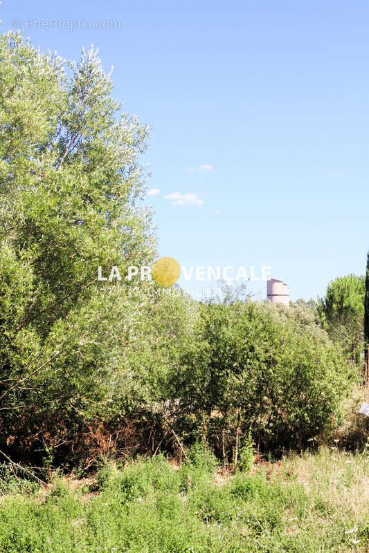 Terrain à BRUE-AURIAC