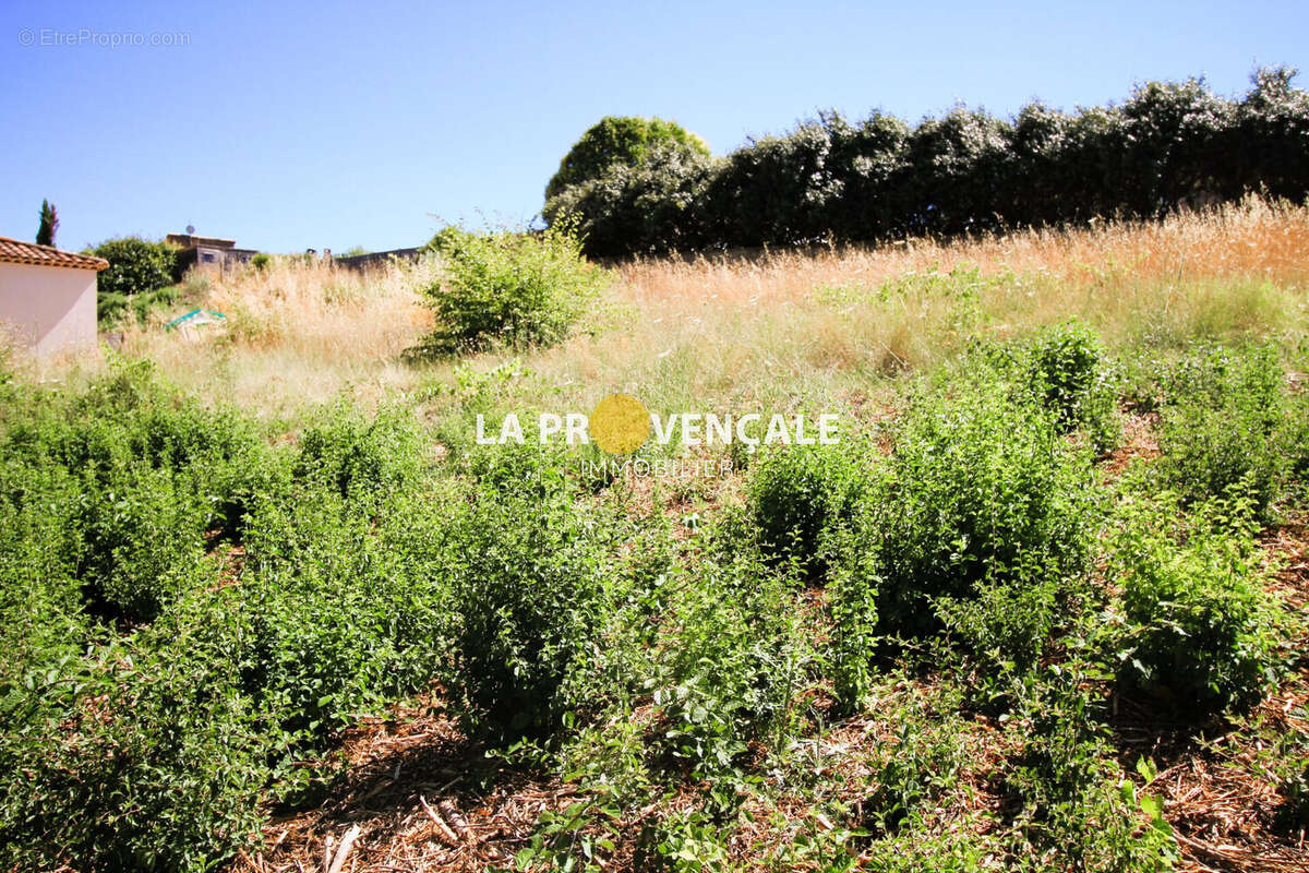 Terrain à BRUE-AURIAC