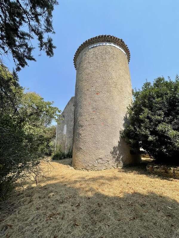 IMG4647 - Maison à VIC-FEZENSAC