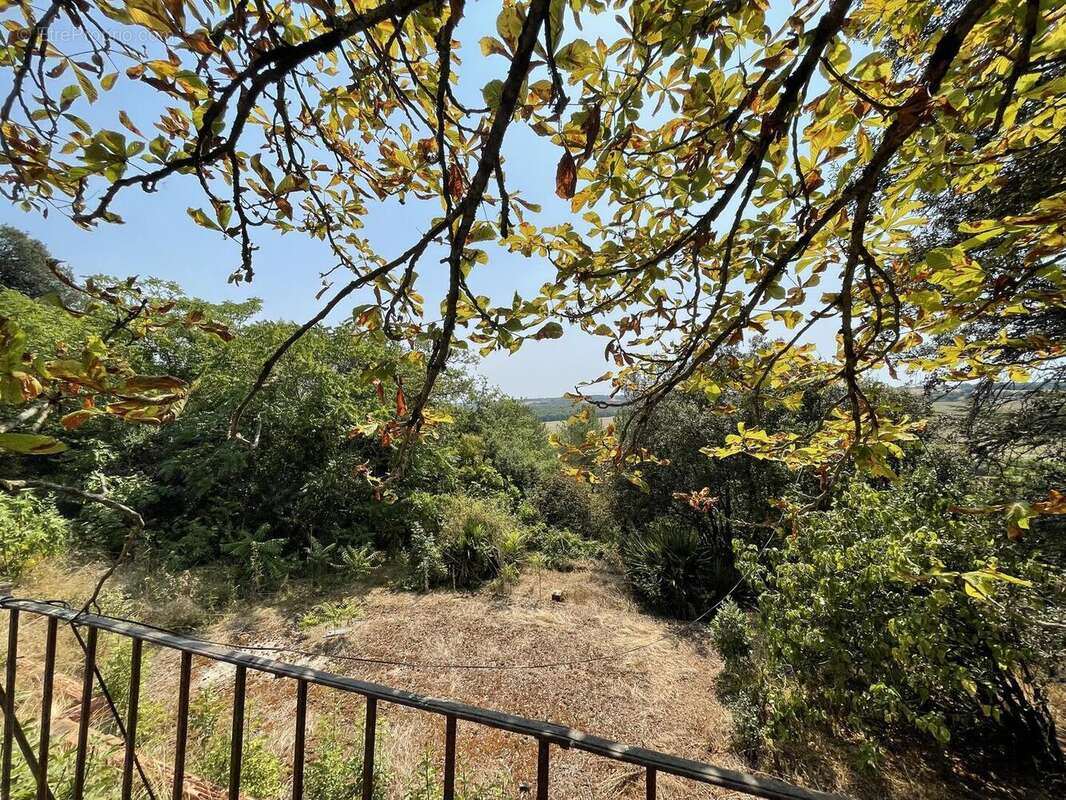 IMG4654 - Maison à VIC-FEZENSAC