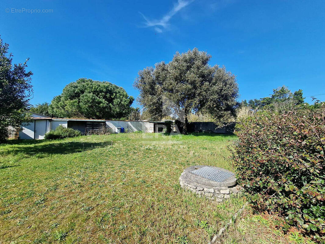 Terrain à LA COUARDE-SUR-MER