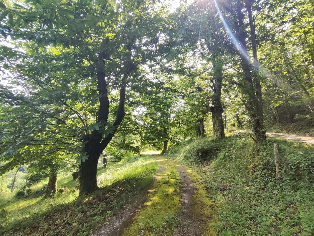 Photo 3 - Maison à ANTRAIGUES-SUR-VOLANE