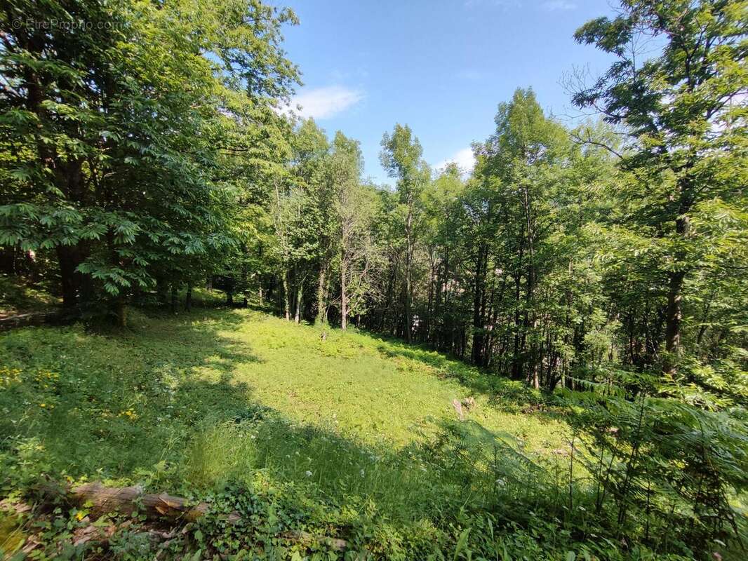 Photo 9 - Maison à ANTRAIGUES-SUR-VOLANE