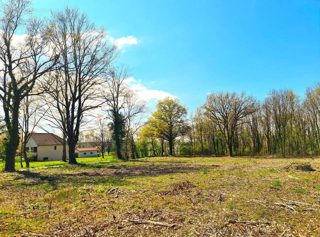 Photo 1 - Terrain à SAINT-ETIENNE-DE-VICQ