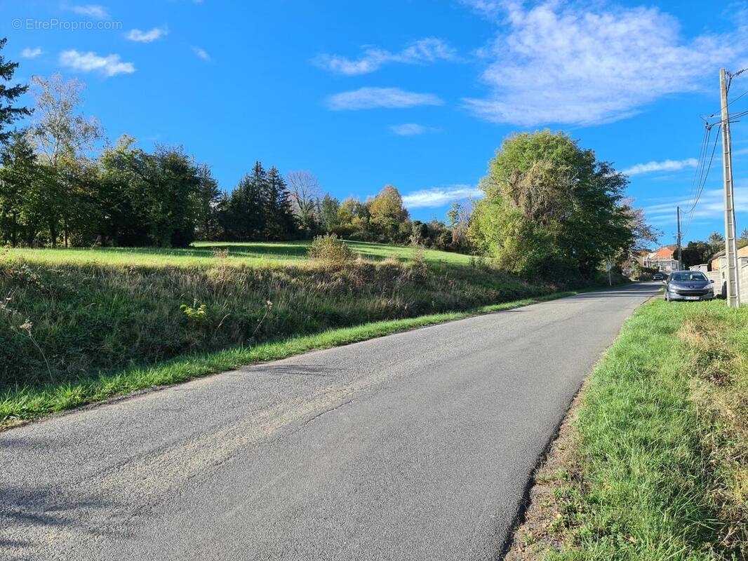 Photo 1 - Terrain à CREUZIER-LE-NEUF
