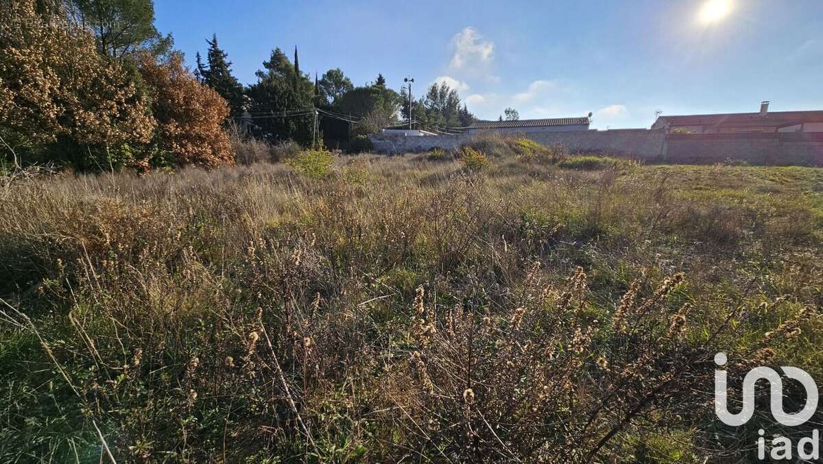 Photo 6 - Terrain à BADENS