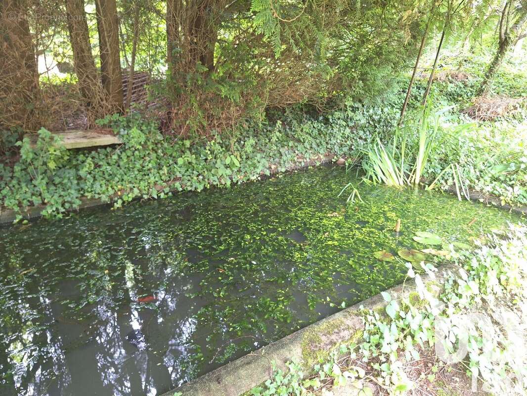 Photo 3 - Maison à NEUFCHATEL-EN-BRAY