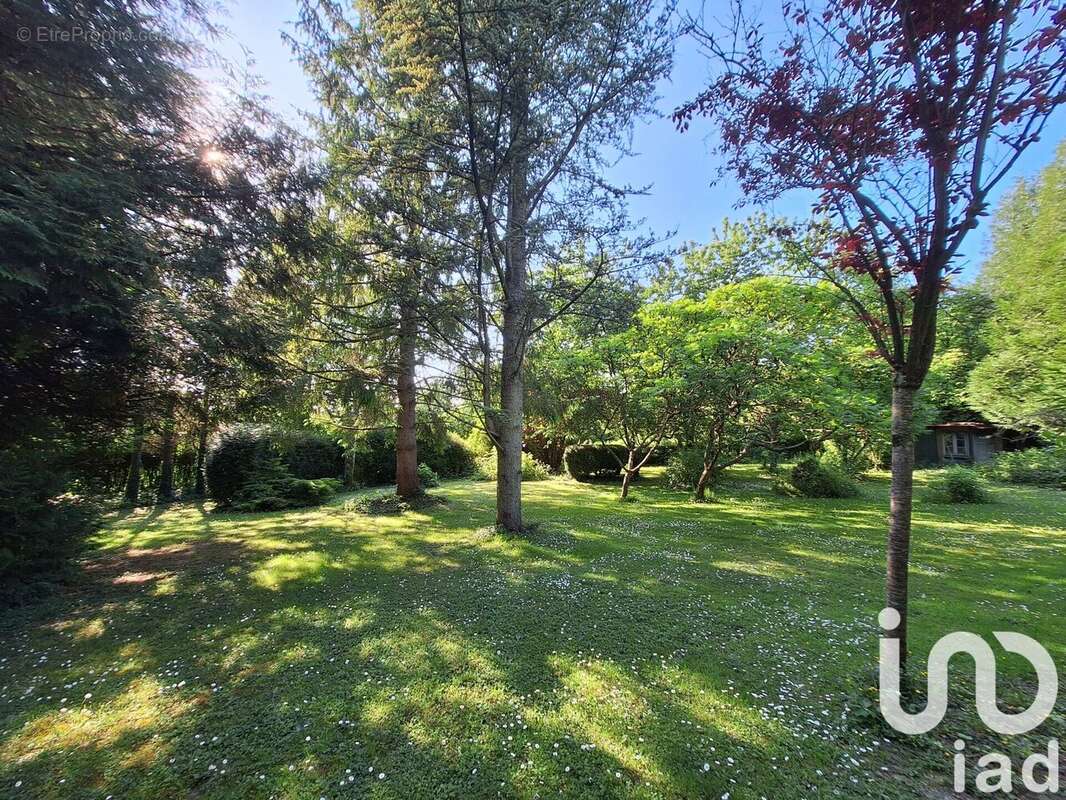 Photo 5 - Maison à NEUFCHATEL-EN-BRAY