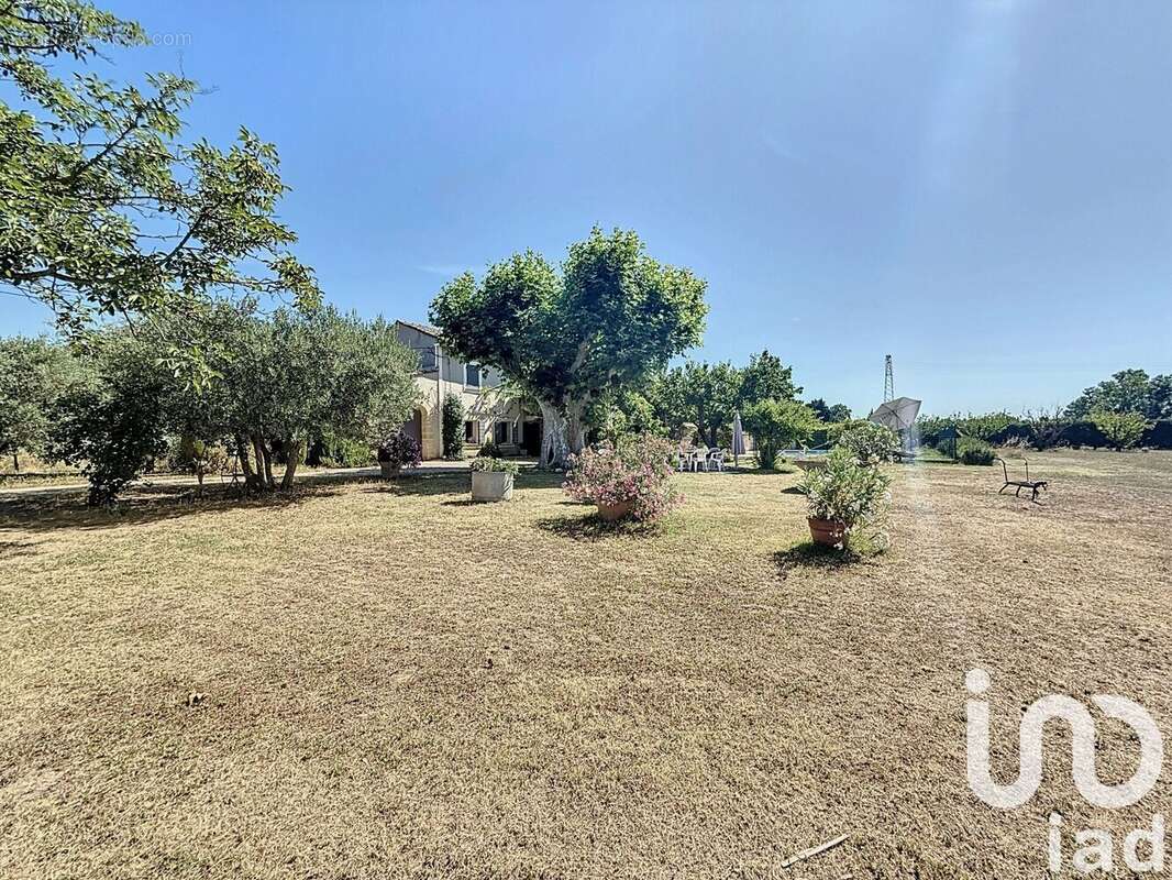 Photo 8 - Maison à CAVAILLON