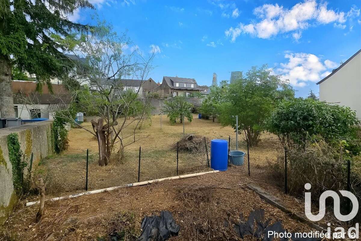 Photo 3 - Maison à CHAMPTOCE-SUR-LOIRE